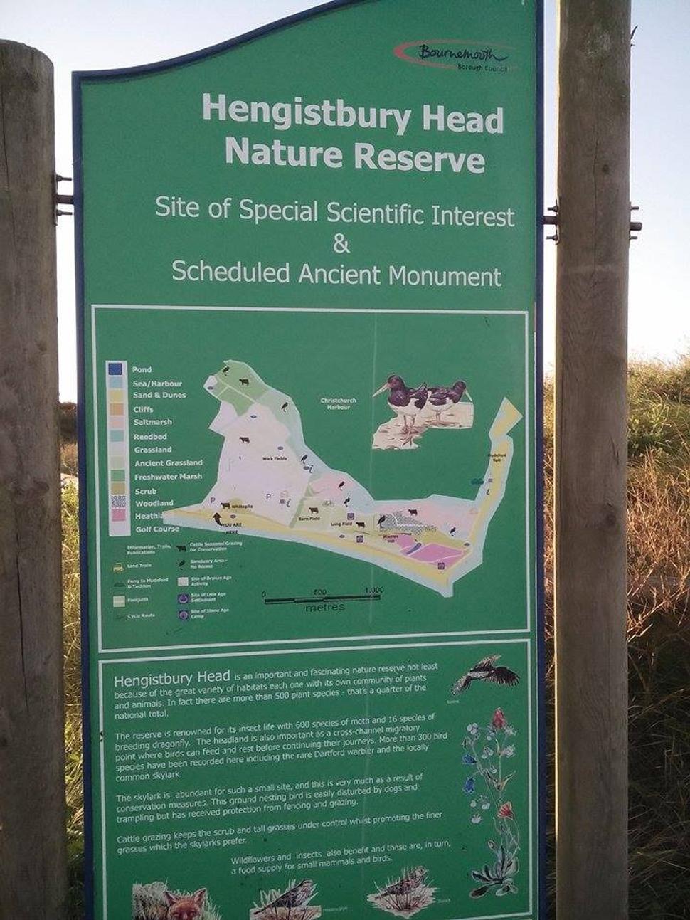 Hengistbury Head