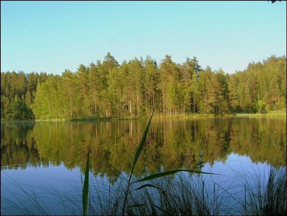 Obrázok blogu
