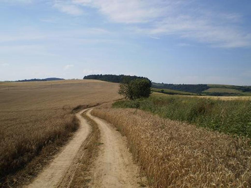 Obrázok blogu