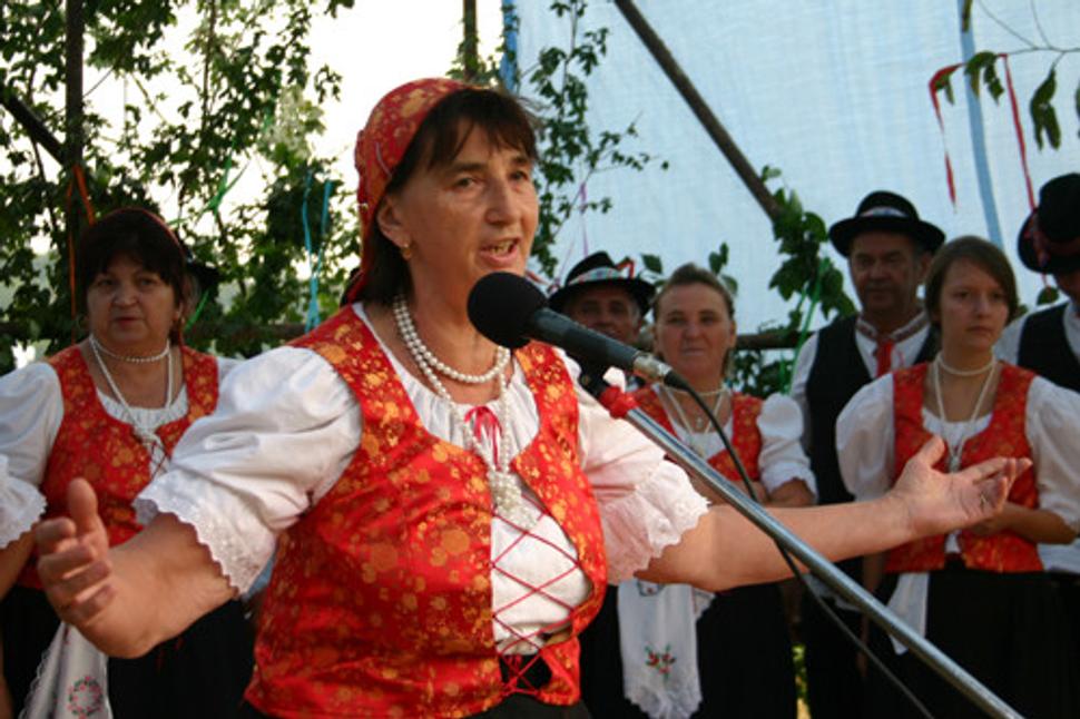 Obrázok blogu