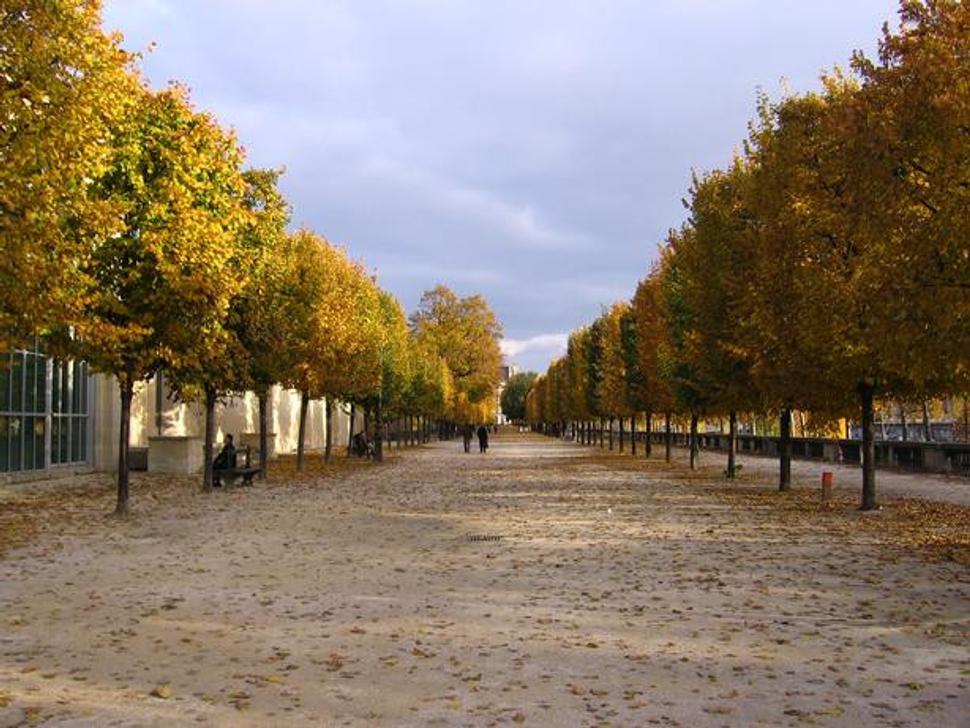 Musée de l'Orangerie