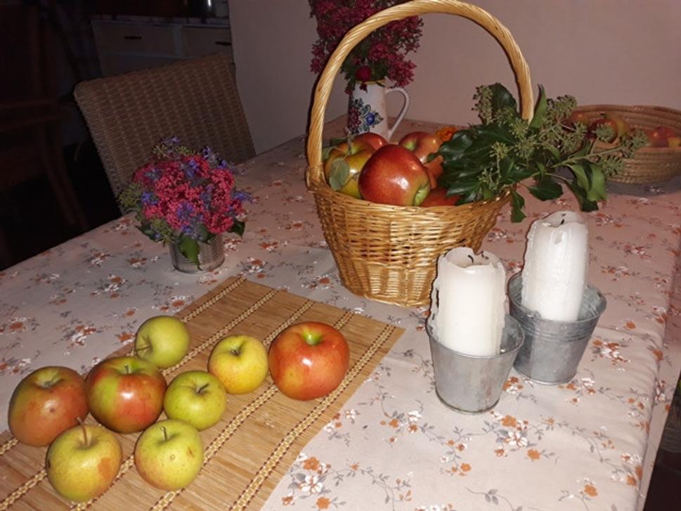 Obrázok blogu