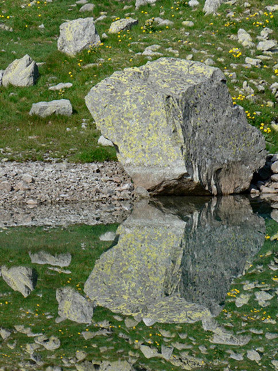 Dlhe pleso