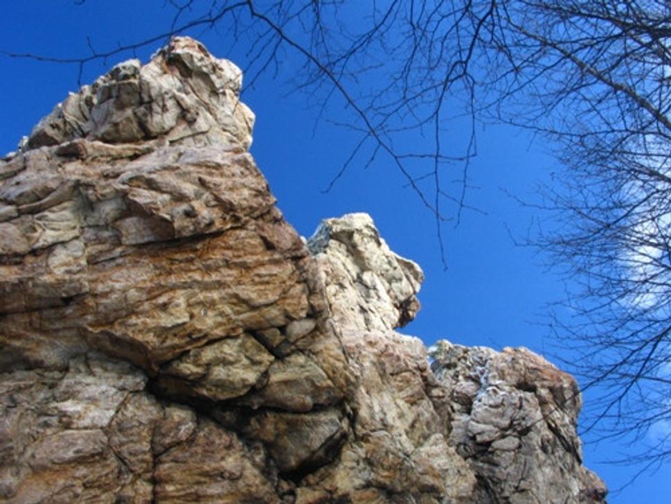 Obrázok blogu