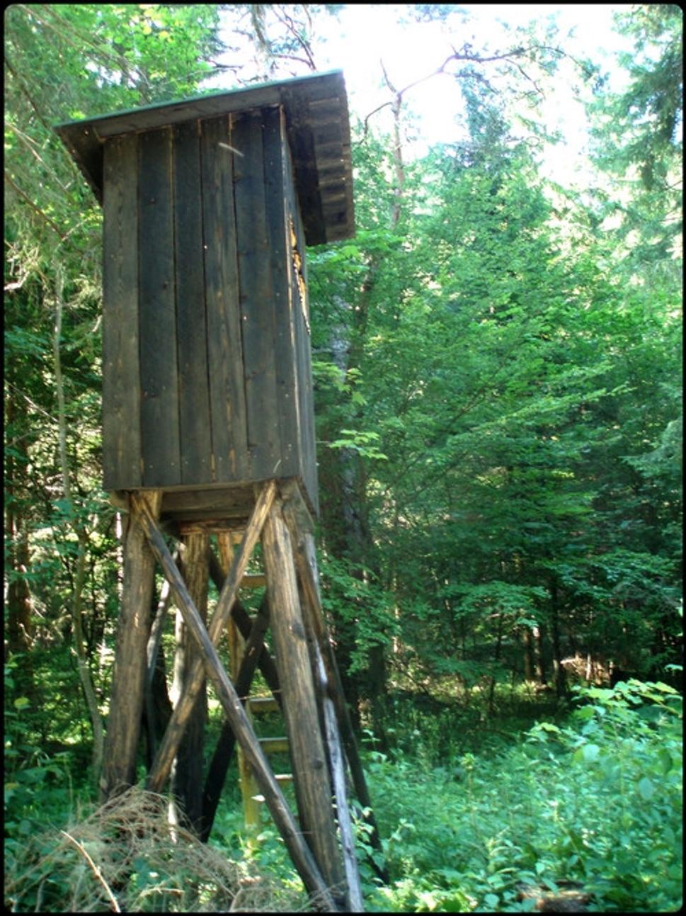 Obrázok blogu