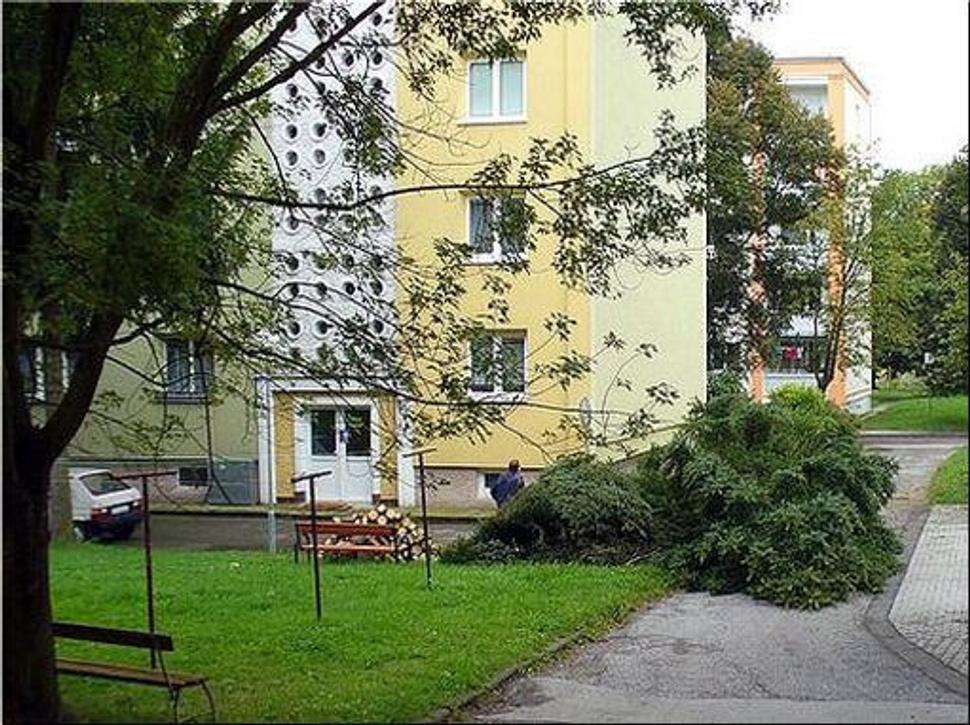 Obrázok blogu