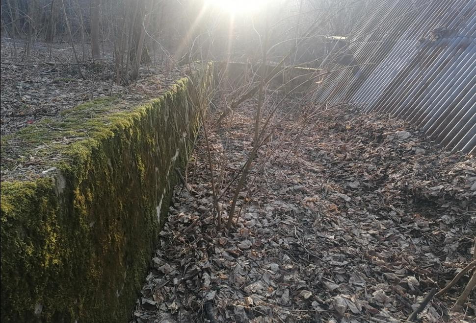 machové dekorácie: múrik...