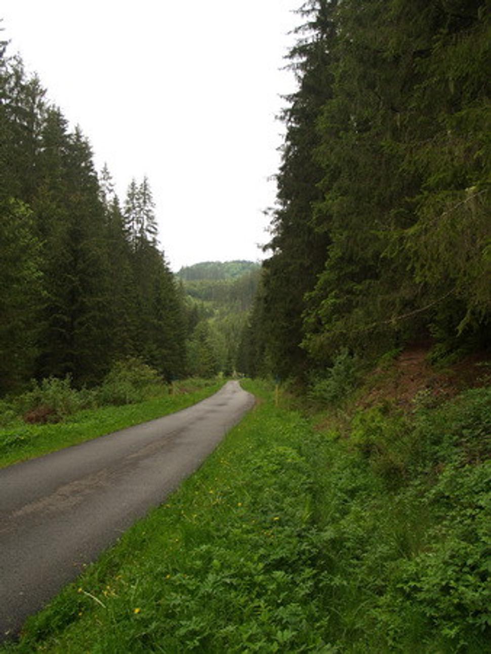 Obrázok blogu