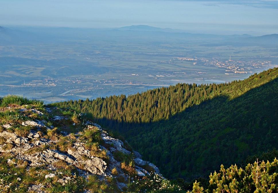 Obrázok blogu