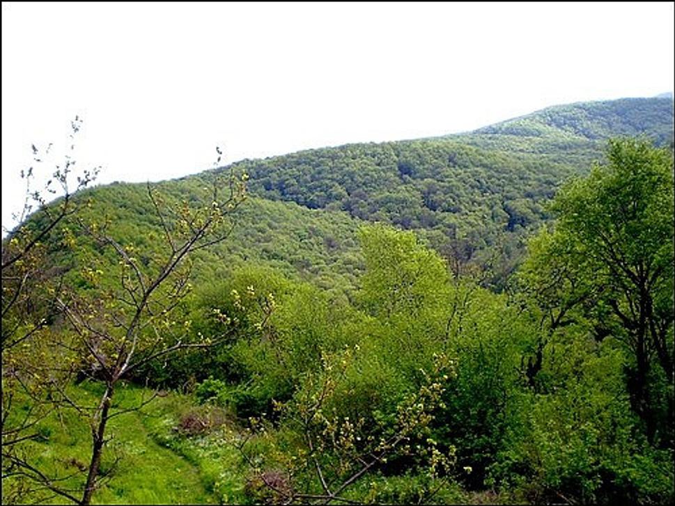 Obrázok blogu