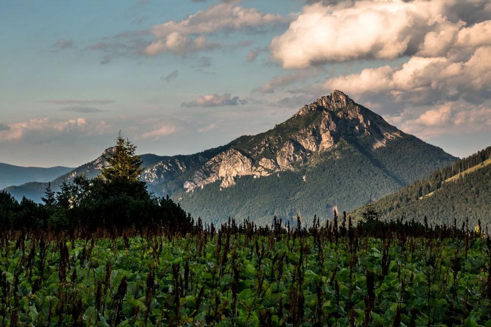 Premierová zastávka na foto Rozstuca