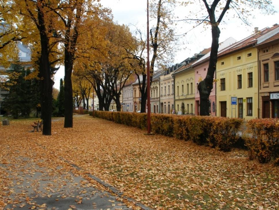 Obrázok blogu