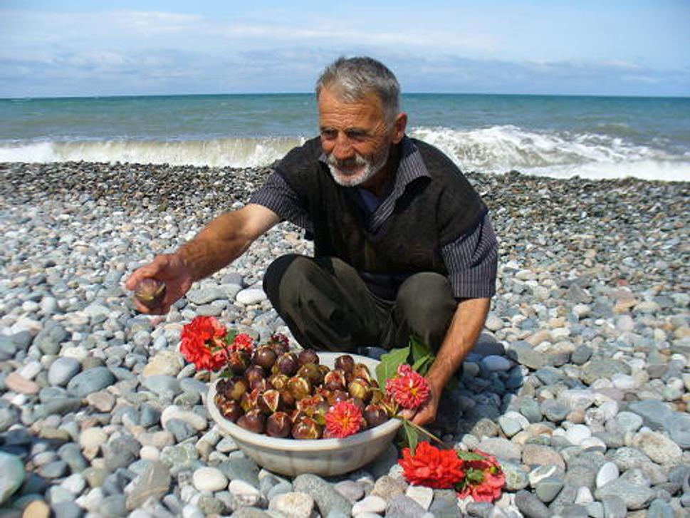 Obrázok blogu