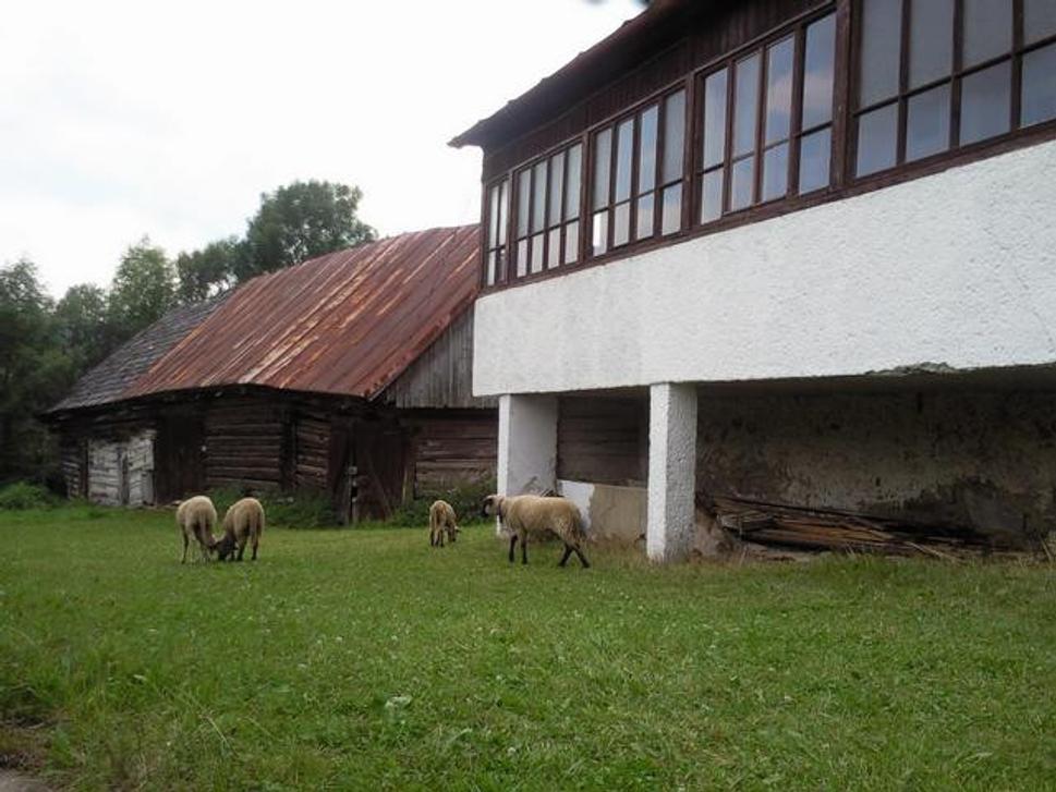Obrázok blogu