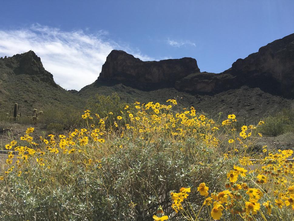 Picacho Peak, Arizona