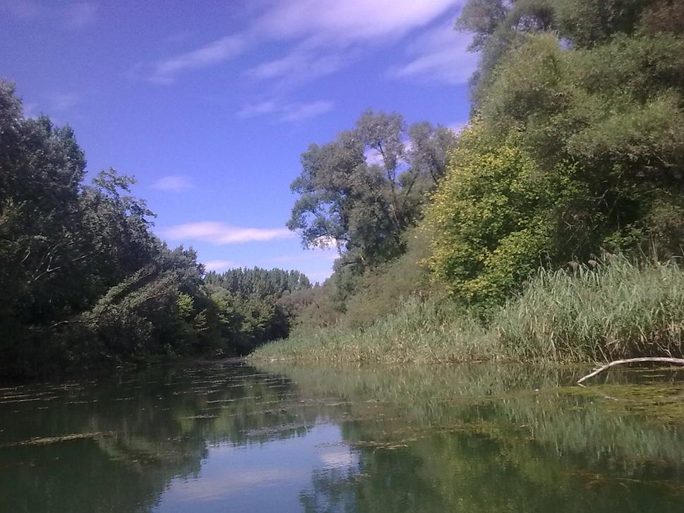 Obrázok blogu