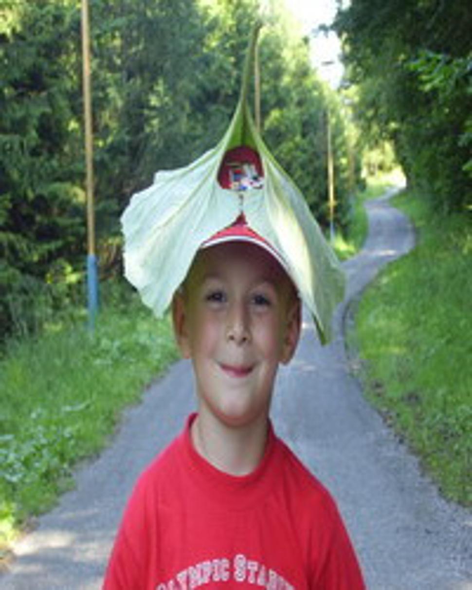 Obrázok blogu
