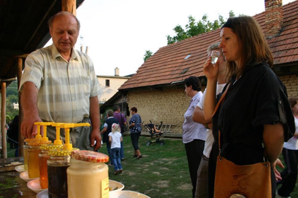 Obrázok blogu