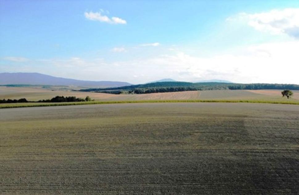 Obrázok blogu