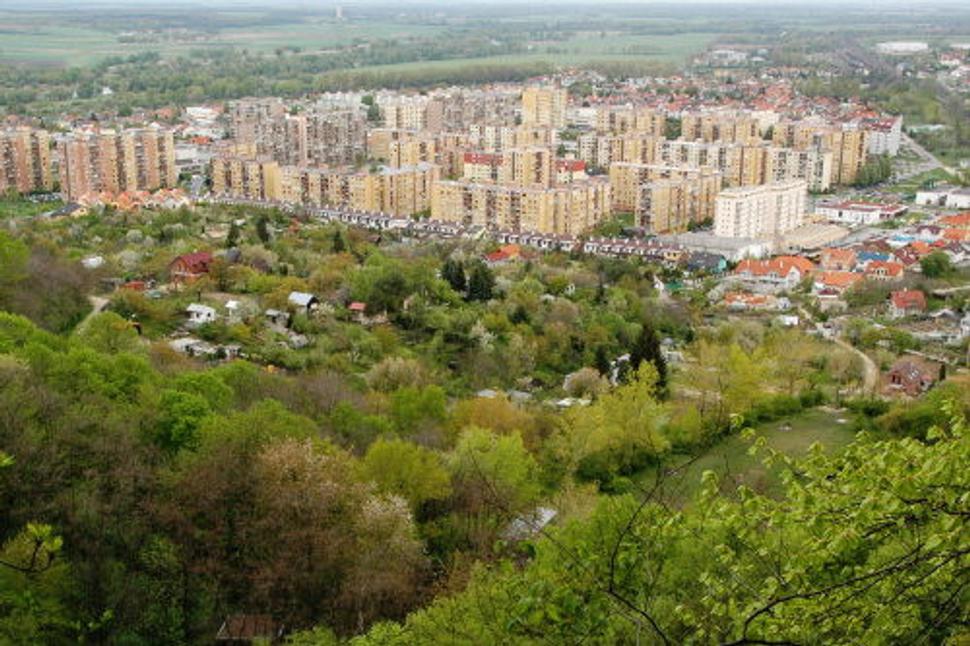 Obrázok blogu
