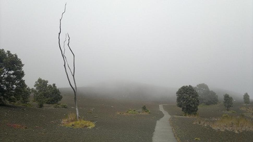 Devastation Trail