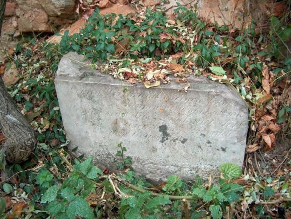 Obrázok blogu