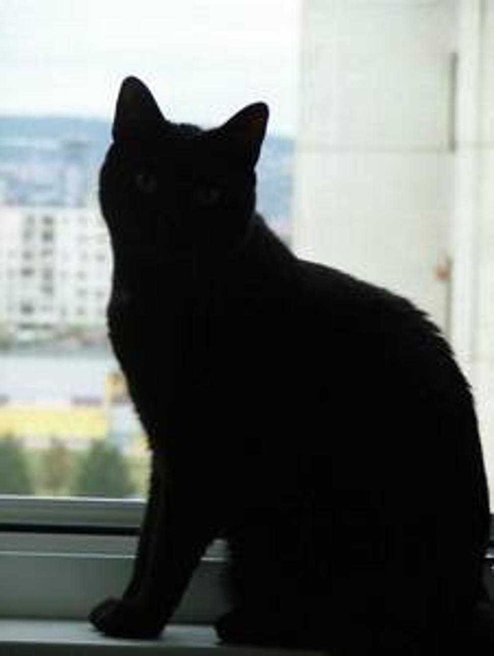 nas blacky :)