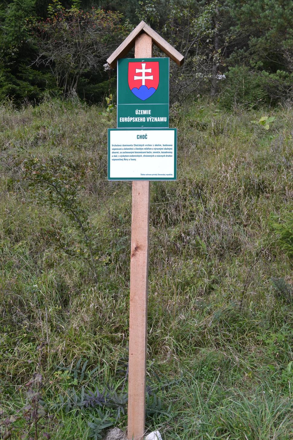Vrcholová dominanta Chočských vrchov budovaná vápencami a dolomitmi.