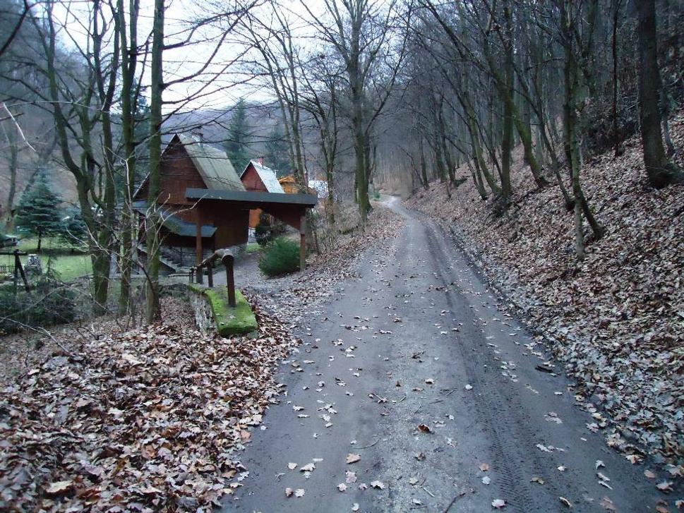 Obrázok blogu