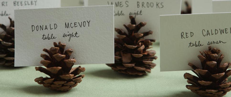 menovky pre svadobných hostí šišky