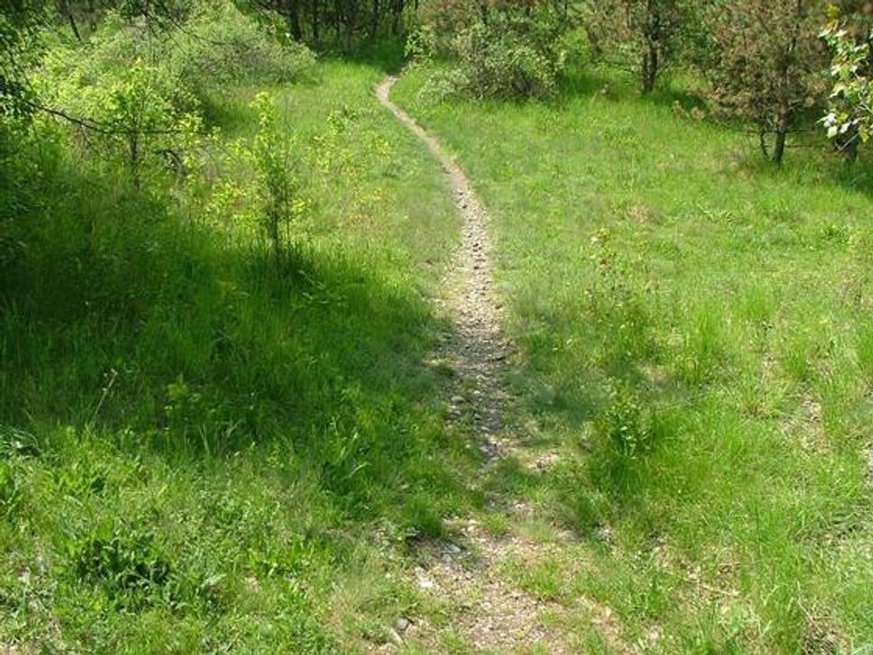 Obrázok blogu