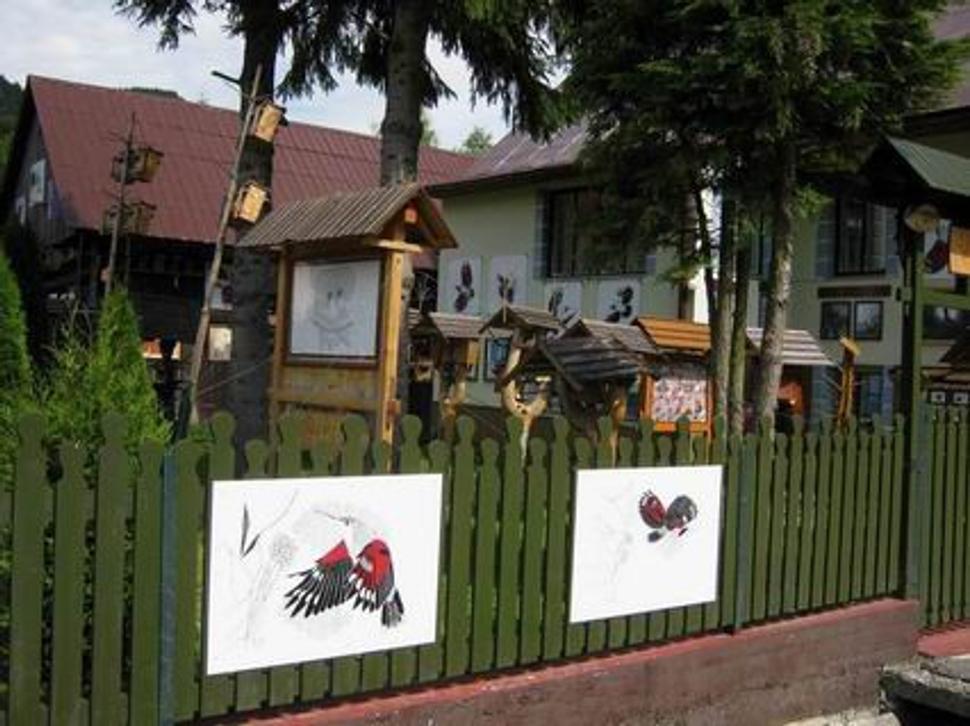 Obrázok blogu