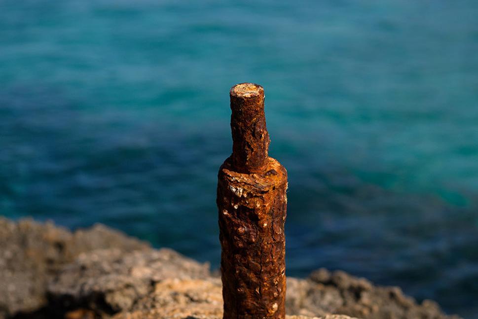 Nikon Z7 + Summicron 50mm, ISO 100, t 1/1000 sec.