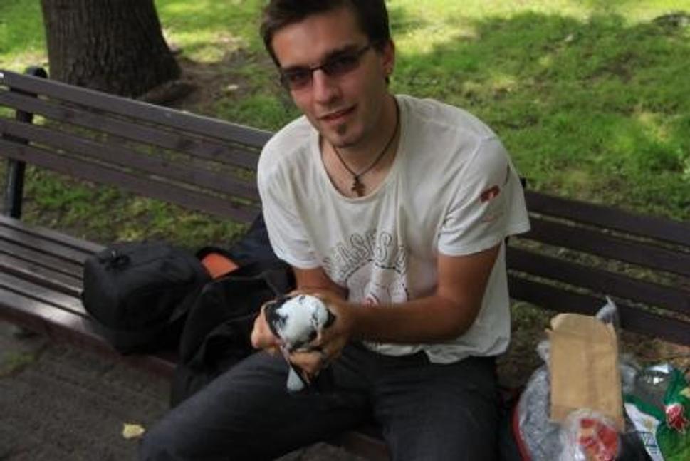 Obrázok blogu