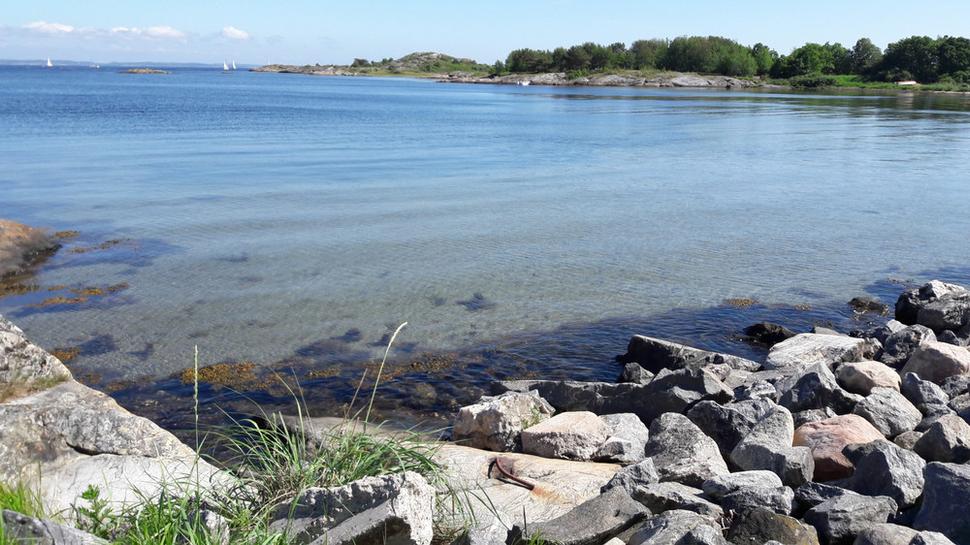 Ostrov Vrångö