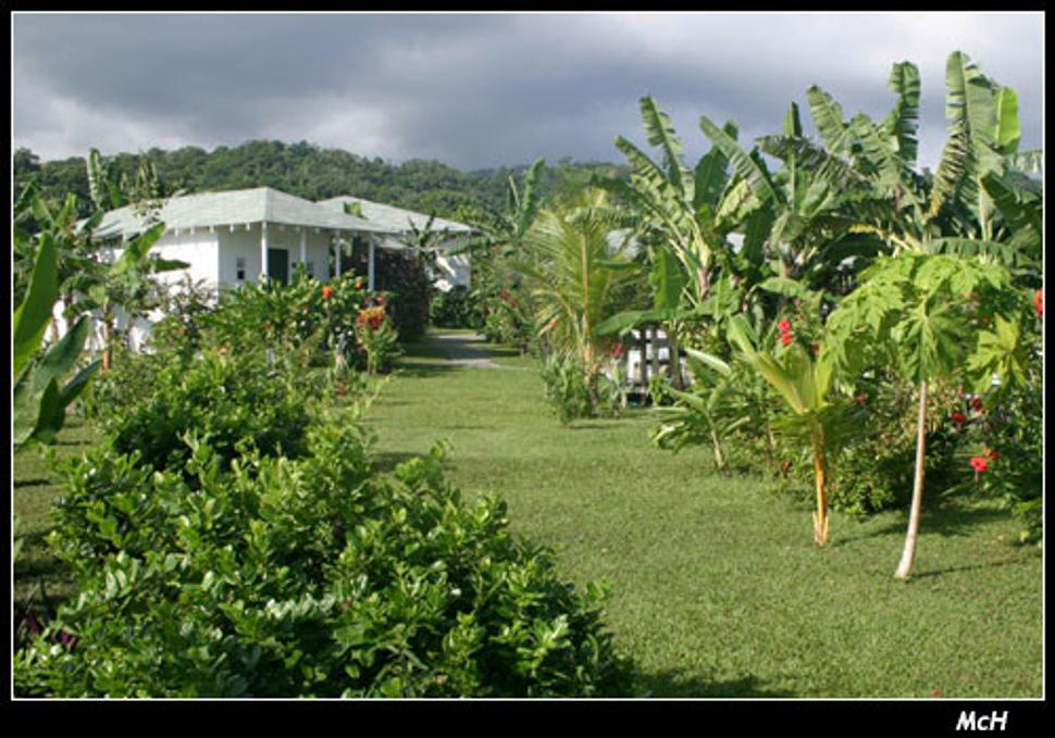 Long Bay