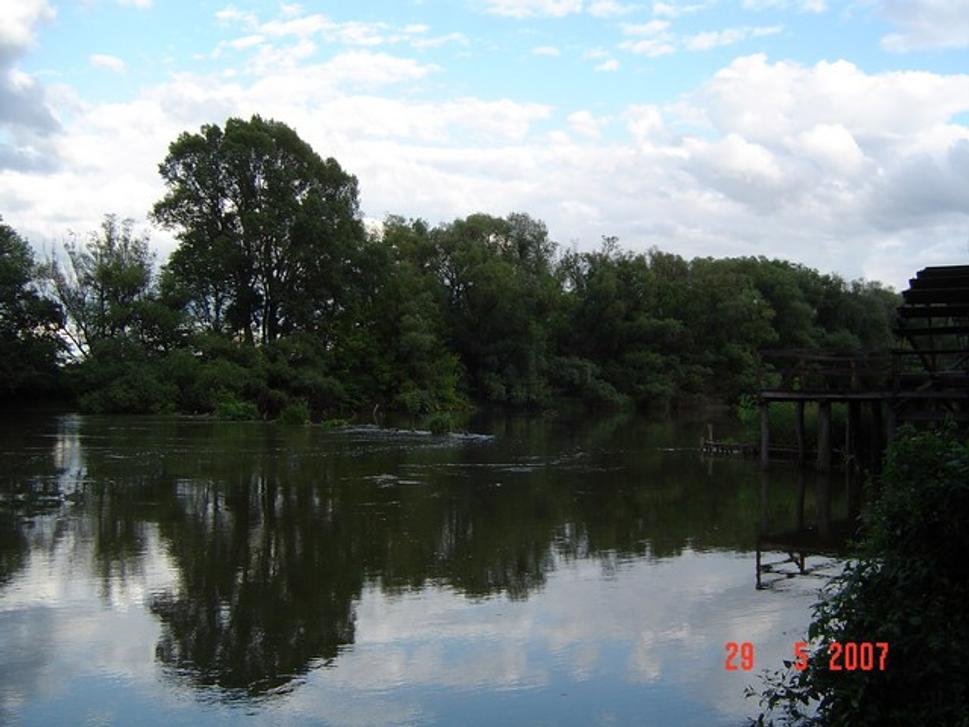 Obrázok blogu