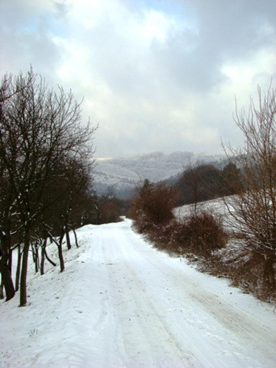 Obrázok blogu