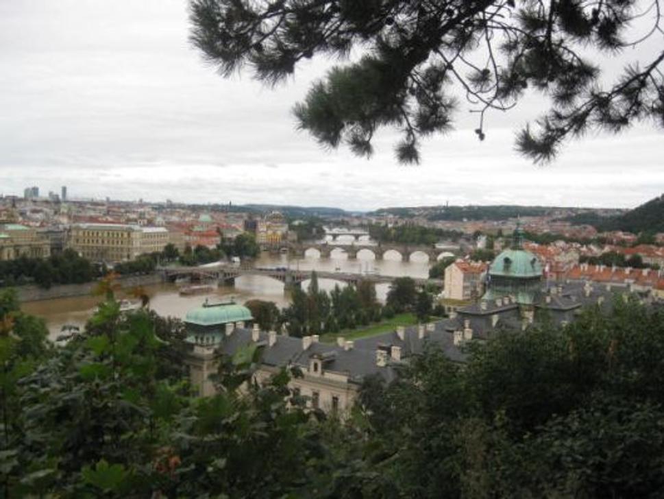 Obrázok blogu