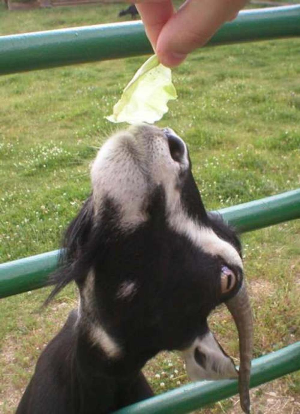Obrázok blogu