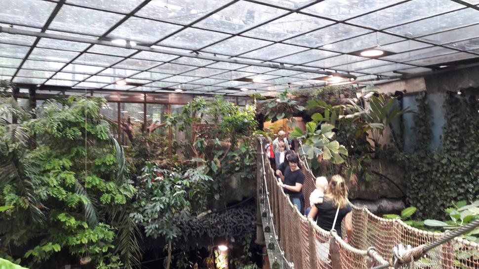 Dažďový prales v múzeu Universeum