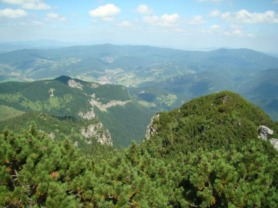 Obrázok blogu