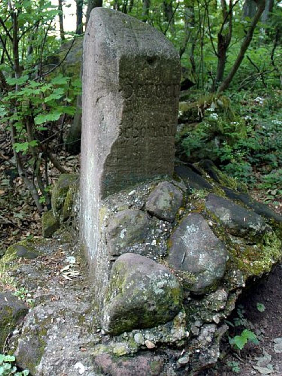 Obrázok blogu