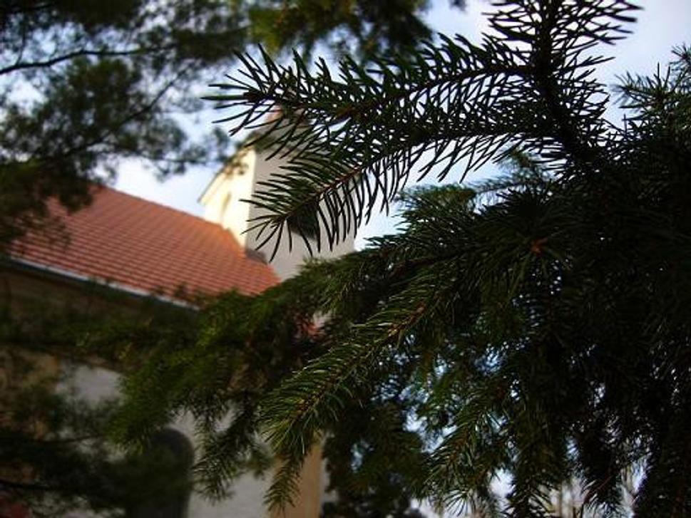 Obrázok blogu