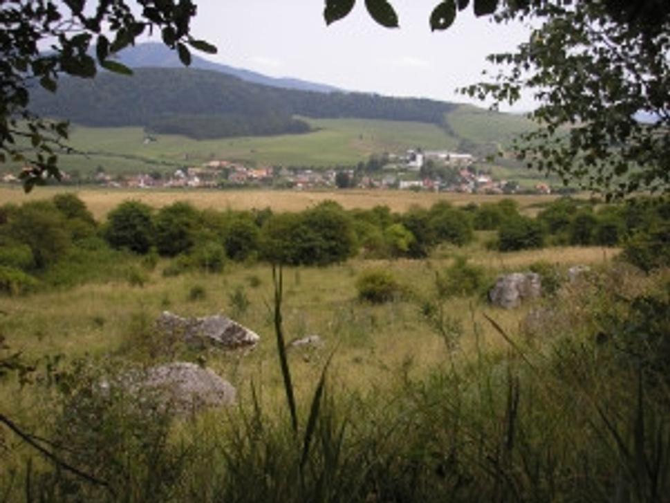 Obrázok blogu