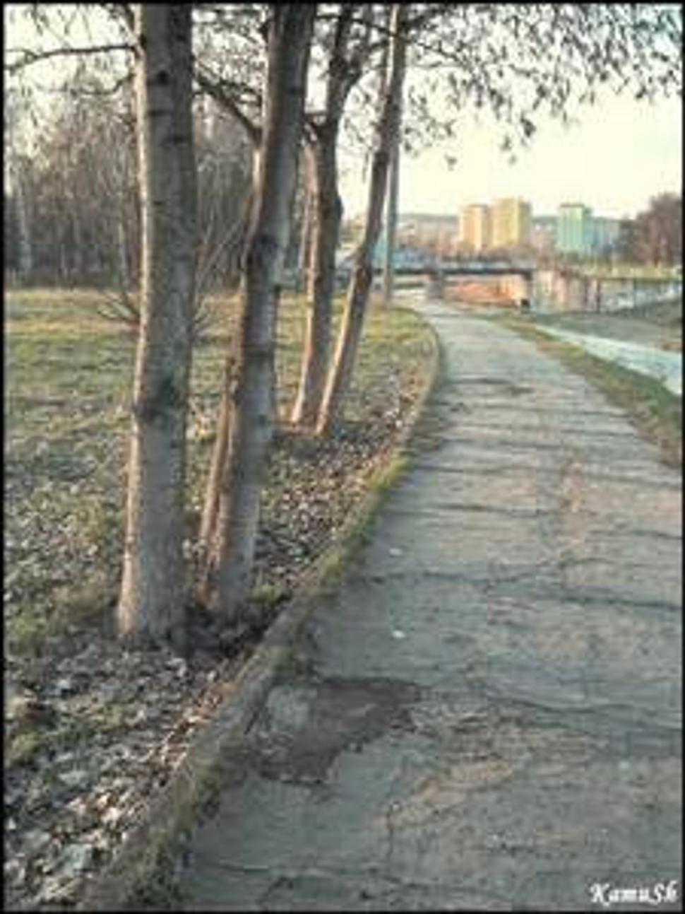 Obrázok blogu