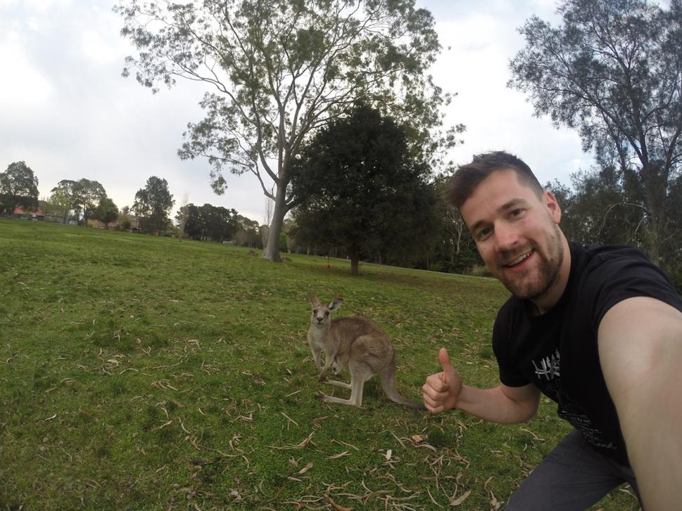 Morisset Park "selfie" s klokanom
