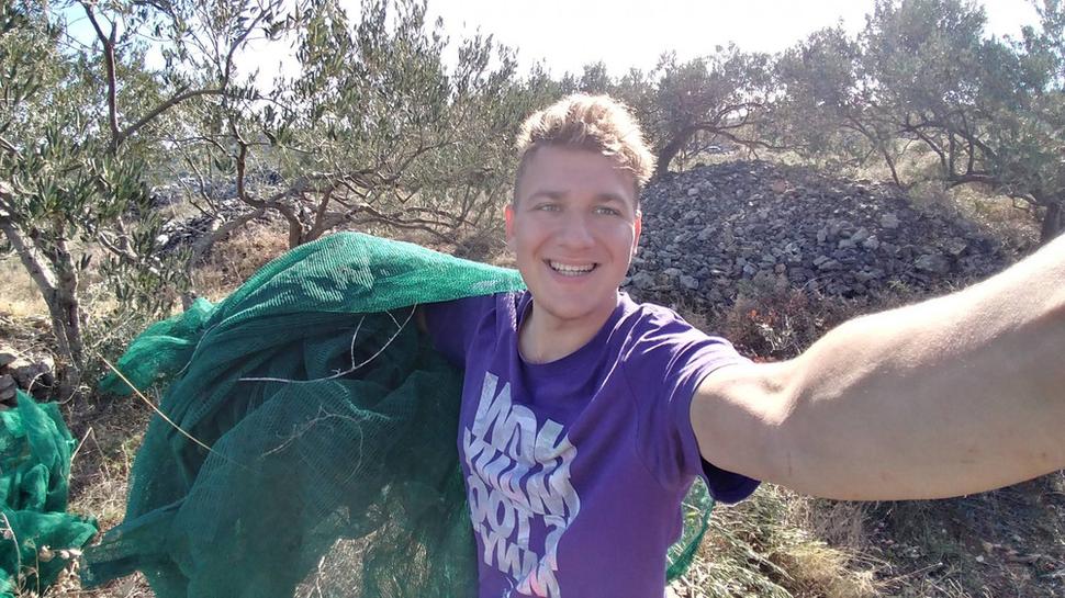 V olivovom sade so sieťkou. Tá sa natiahne na zem pod olivy a následne už len oberáte plody ručne, alebo s malými hrabľami.