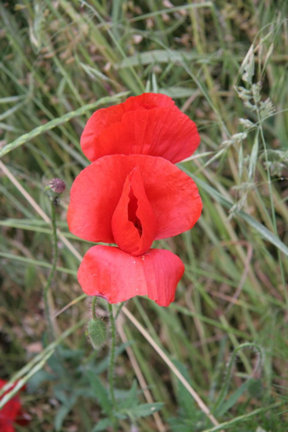 Obrázok blogu