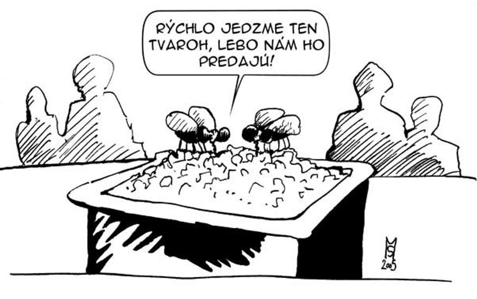 Obrázok blogu